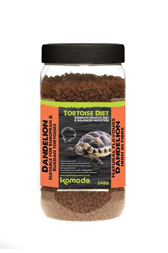 Complete holistic tortoise - holistic,
