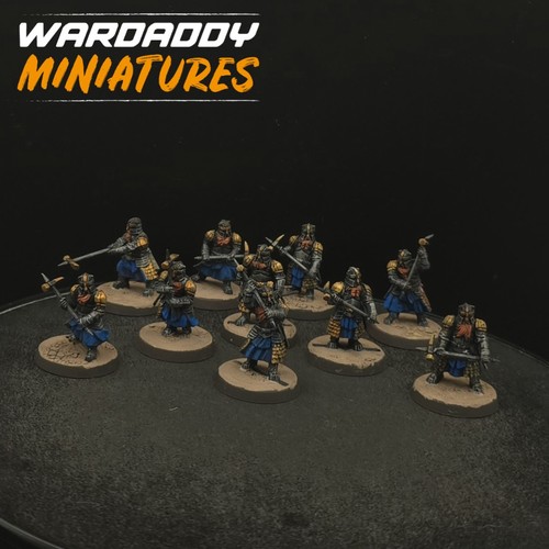 Pro painted warhammer lotr - warhammer,