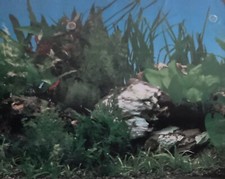 Vinyl Aquarium/ Fish Tank