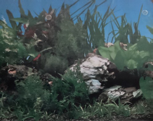 Vinyl aquarium fish - fish, tank