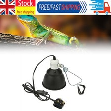 Reptile Vivarium Ceramic Heat