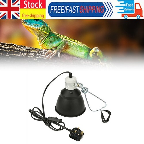 Reptile vivarium ceramic - vivarium,