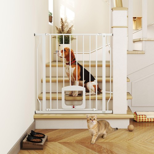 Adjustable pet gate with cat - pet,