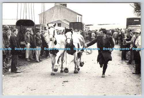 L359155 appleby fair - l359155,