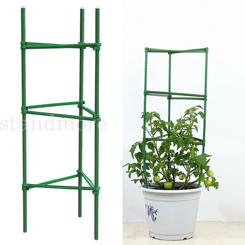 24pc stake arms - arms, garden