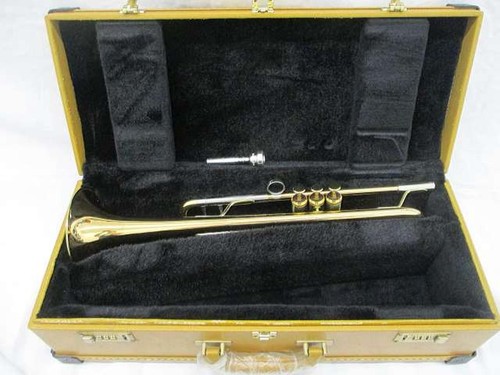 Trumpet in hard case - xo,