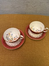 Aynsley Cottage Garden