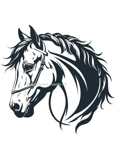 Horse box vinyl - box,