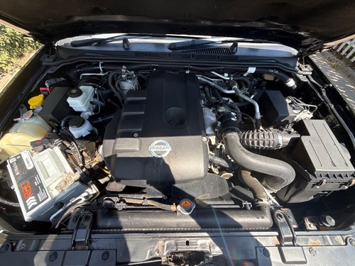 Nissan navara engine diesel - engine,