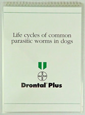 Life Cycles Of Common