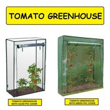 Tomato Greenhouse Grow House