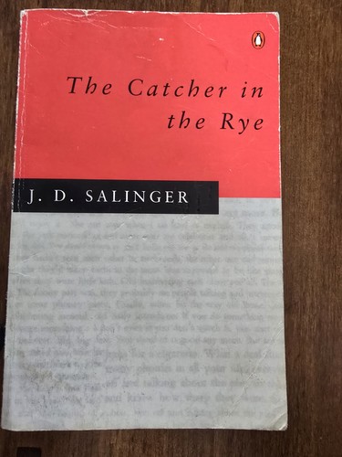 The catcher rye - catcher, in
