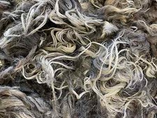 5.5lbs Wool Navajo Churro Whole fleece spinning weaving prim raw sheep witch