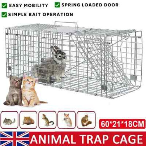 Animal traps cage - animal, squirrel