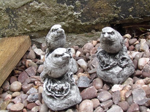 Little birds concrete - 3, (concrete