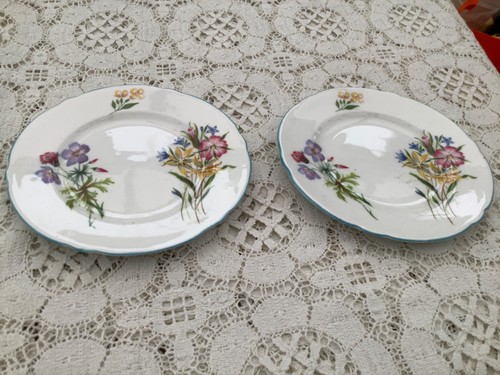 Shelley england bone china - shelley,