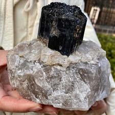 2.31LB  Beautiful natural black tourmaline tourmaline logo healing
