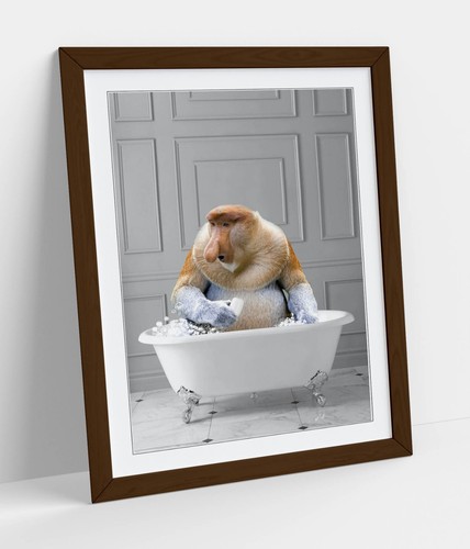 Probiscus monkey bath - monkey, in