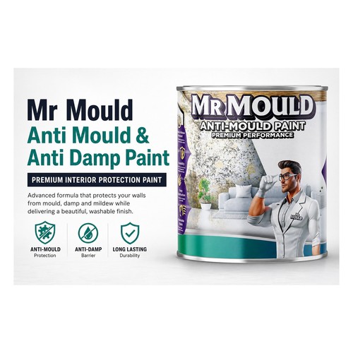 Anti mould wall - paint, brick