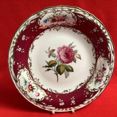 Celebration coalport - celebration, of