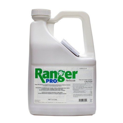 Ranger pro gal 41 - ranger,