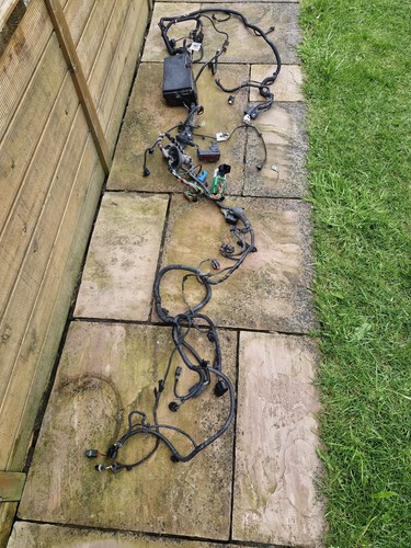Ford focus engine wiring - st,