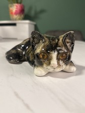 Small Winstanley Tabby Kitten