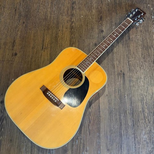 Takamine elite acoustic - tw-25,