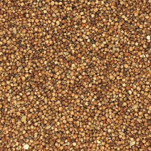 Red dari 5kg - dari,