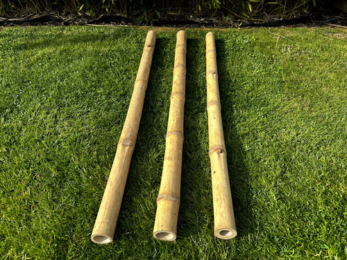 Natural apus bamboo - natural,