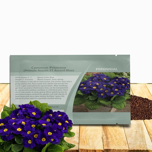 100 seeds primrose - 100,