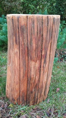 Tree stump table - hardwood, log