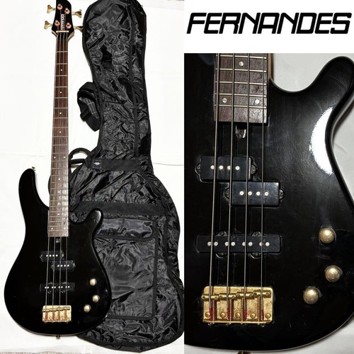 Fernandes bass guitar case - fernandes,