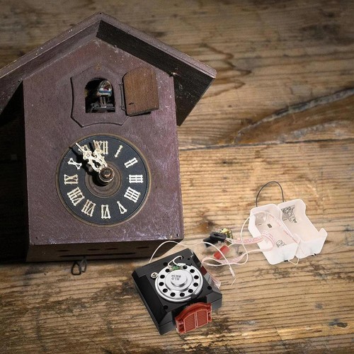 Cuckoo wall clock - wall,