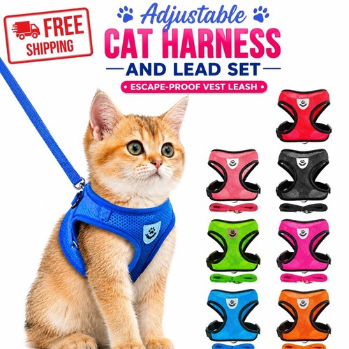 Adjustable cat harness and - adjustable,