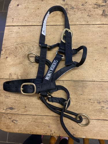 Monty roberts dually - monty,