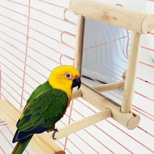 Bird wood perch stand with - perch,