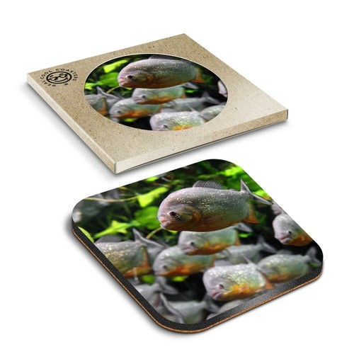 Boxed square coasters - x,