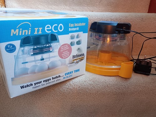 Brinsea mini eco - eco, egg