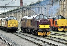  N GAUGE  FARISH  CLASS 37 DCC