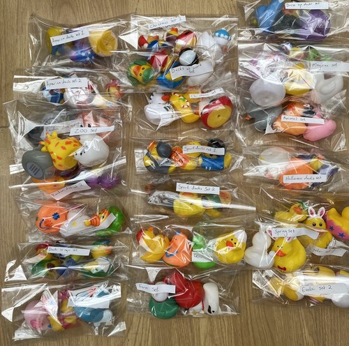 Novelty rubber ducks - 3,