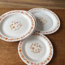 Vintage 1970's Arcopal Scania