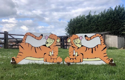 Showjump fillers 50cm tigger - showjump,