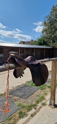 John whitaker la - 17.5", grand