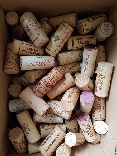 Used wine bottle - wine,