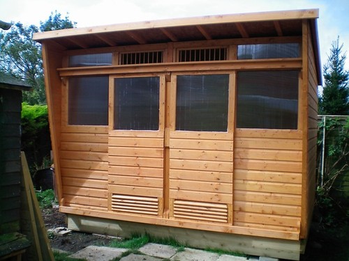 Pigeon loft two - 6,