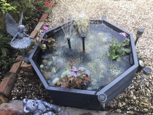Raised garden pond - pond, octagonal