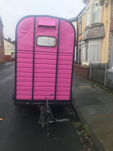 Horse box trailer - box,