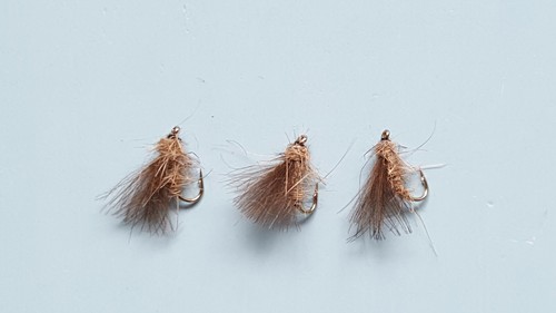 Cdc hare ear - 3, hare's