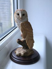 Barn Owl by Country Artists